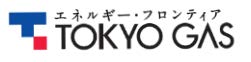 Fujisawa SST