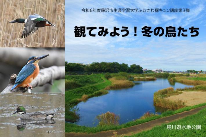 令和6年度ふじさわ探キュン講座第3弾「観てみよう！冬の鳥たち」