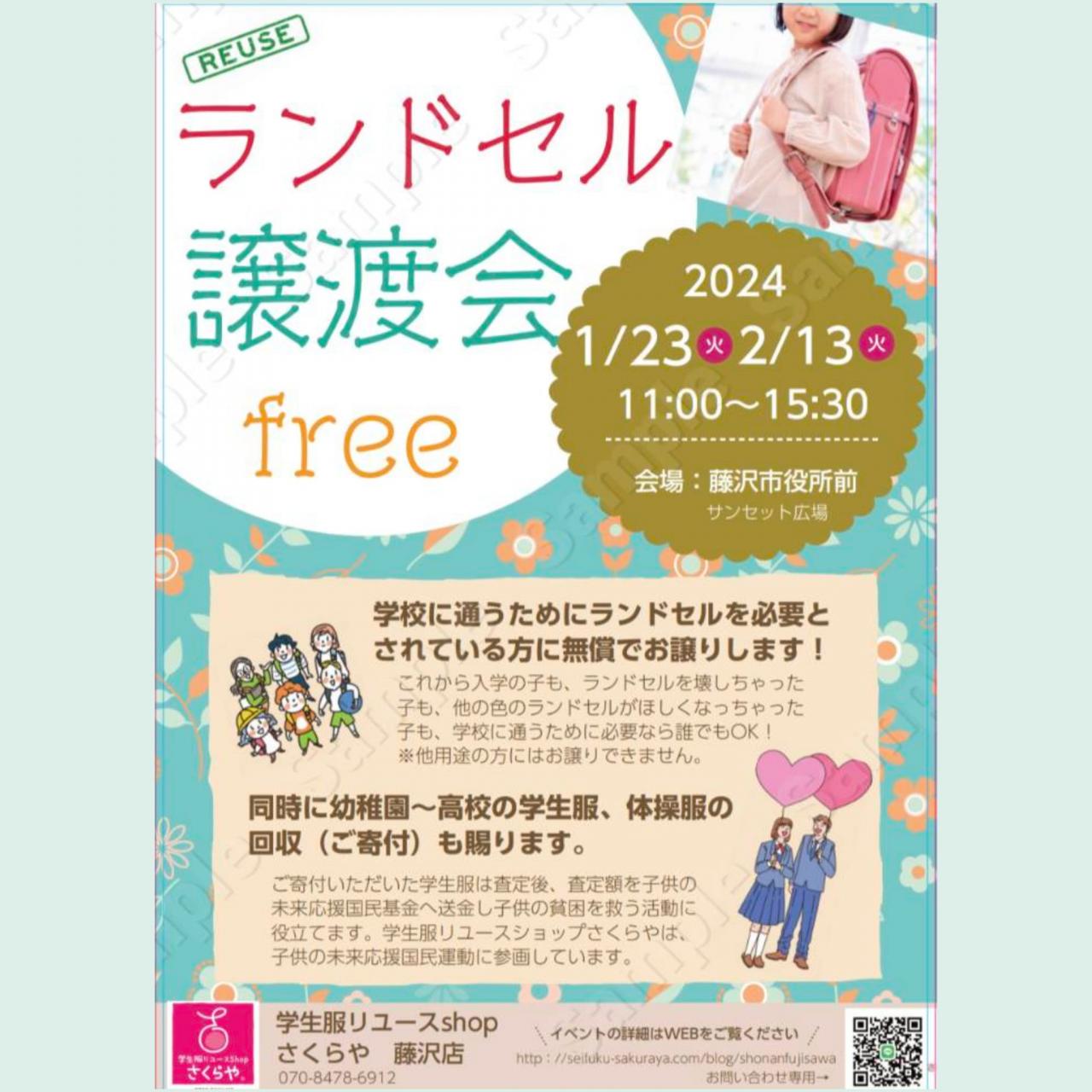 洋ラン等 一括譲渡 洋ラン等 一括譲渡 洋ラン等 まとめて譲渡