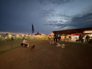 EV（電気自動車）からの電力供給！DOG OUT MARKETが開催されました！